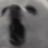 stickysz